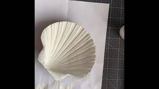 Shell Decoupage - something a little different