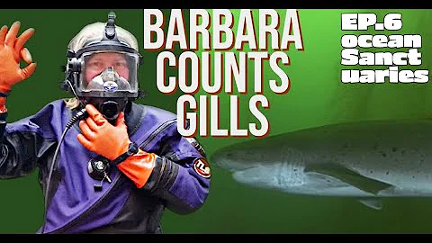 Ep. 6 Barbara counts gills