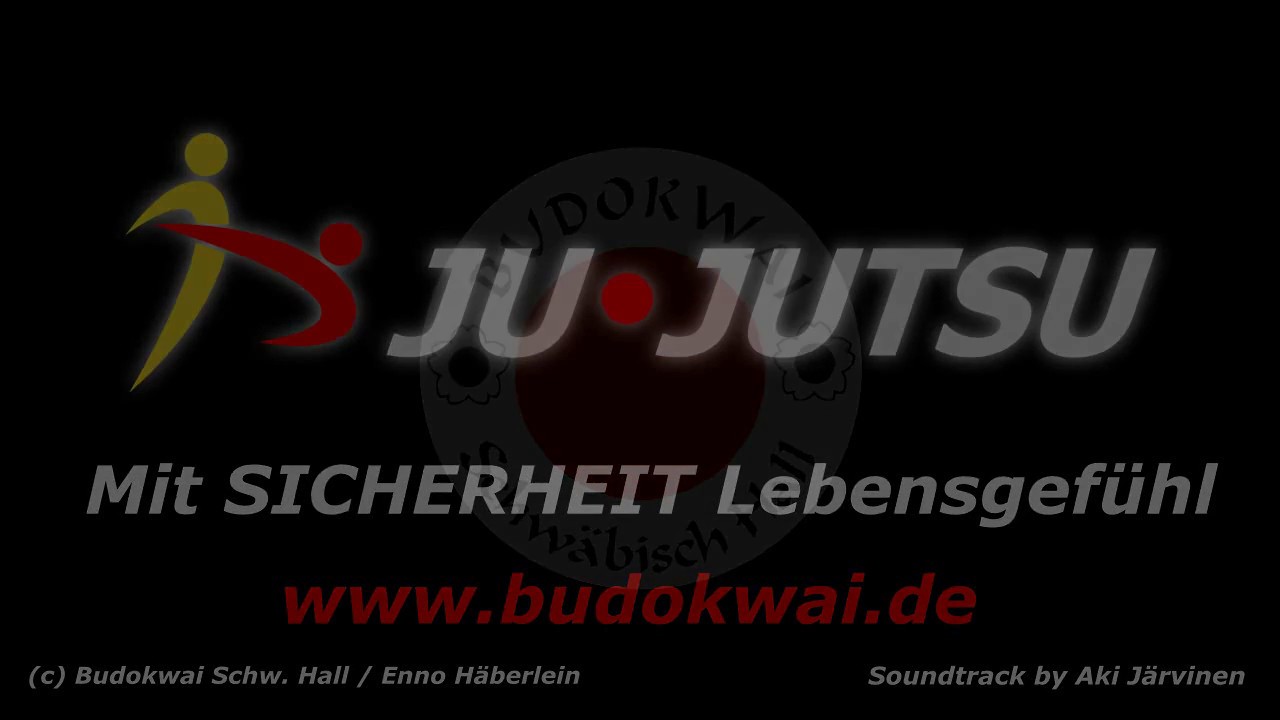 Budokwai Ju Jutsu Training или тренировка джиу-джицу.