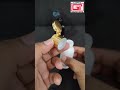 Video Image