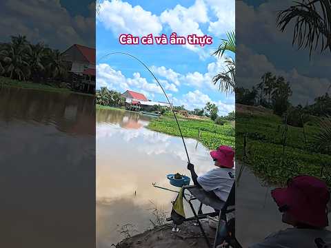 Câu cá và ẩm thực ngoài bờ sông #vyhanfishing #cauca #fishing