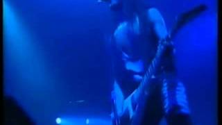Tigertailz - Living Without You (Live - 1990)