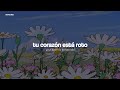 rebecca sugar - i didn&#39;t mean to // sub. español &amp; lyrics