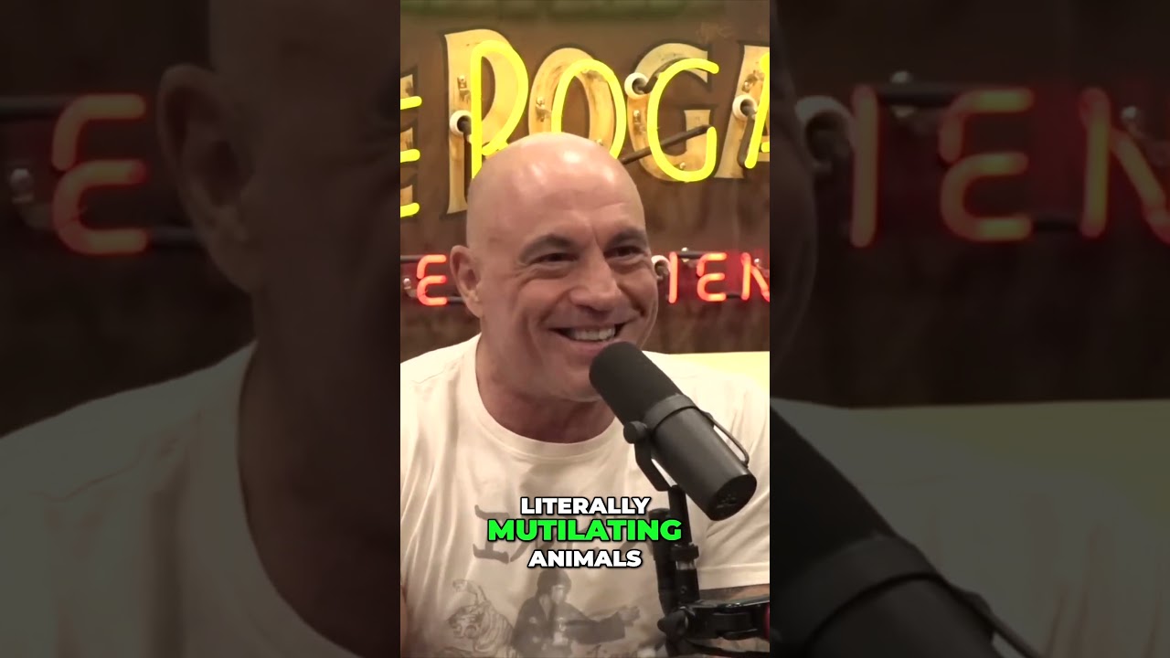 Exposing Taxpayer Money  Disturbing Truths Behind Fraud