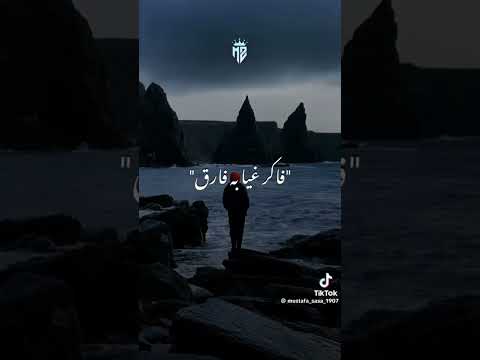 عصام صاصا طريق السلامه