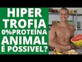 HIPERTROFIA GANHO DE MASSA MUSCULAR EM DIETA VEG É POSSÍVEL