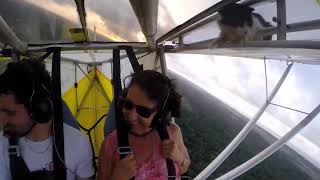 Cat Wanna Fly Iphone Meme