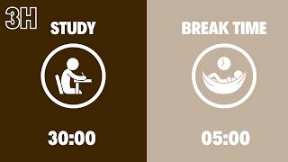 Brown Noise Pomodoro Timer for ADHD | 3-Hour Study Session | 30/5 Deep Focus 🤎