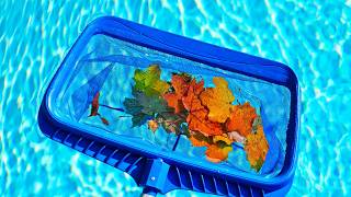 What is a Pool Skimmer? Pool Questions Answered