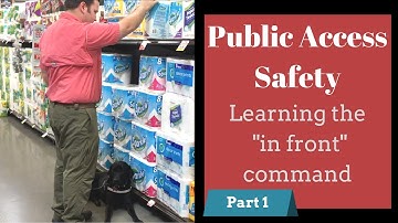 "In Front" command part 1 of 3 (public access) @TopDogTx SERVICE DOG SAFETY