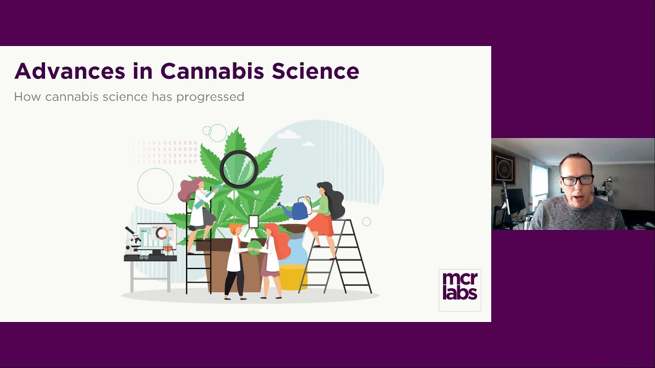 The Evolving Cannabis Industry