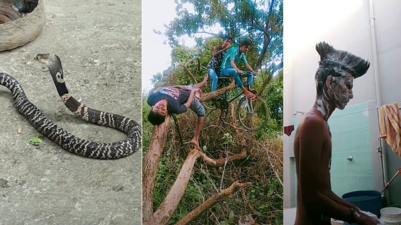 Vigo video village comedy ||new vigo video Funny comedy  || PRIKISU || Comady Masala