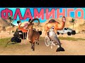 Симулятор Фламинго|Сломали сейф-ради чего!!!???|Goat Simulator PayDay