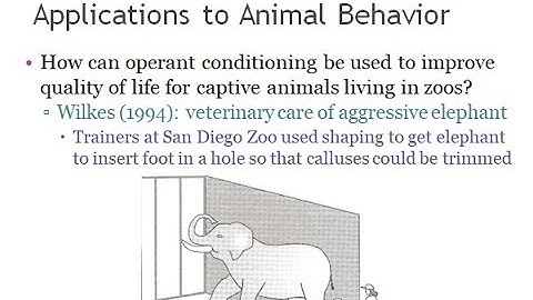 PSYC 370 Video Lecture - Operant Applications to Animal Behavior