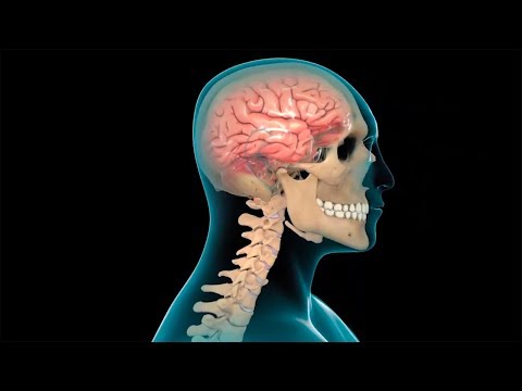 Your Fantastic Mind