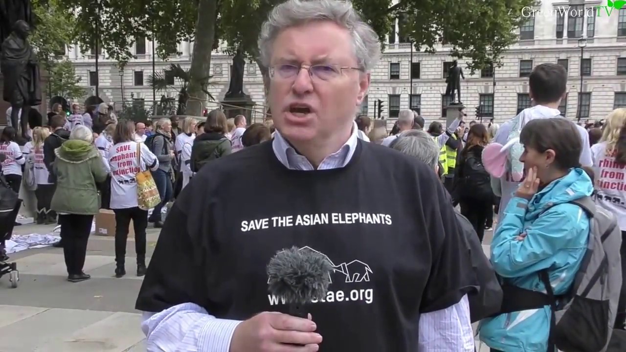 Interview with Save The Asian Elephant's Duncan McNair Live at GMFER17