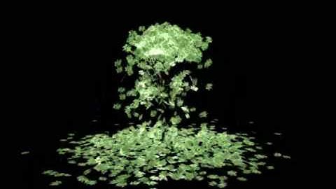 animation of Leaf Falling in MAYA