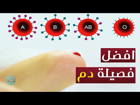 فيديو: ما هي فصيلة الدم الأكثر شيوعًا؟