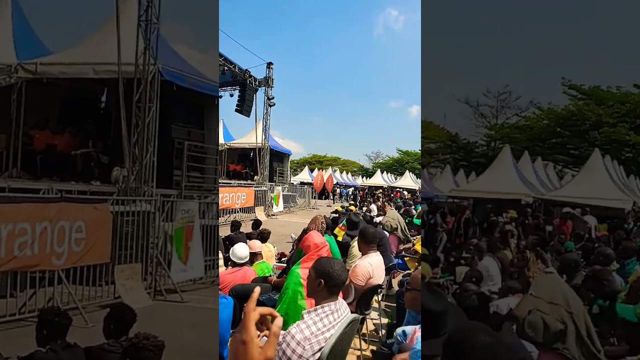 Switzerland vs Cameroon  | FIFA World Cup Qatar 2022