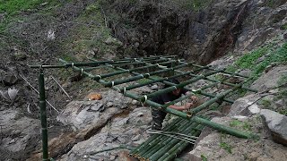 Download Lagu A surprise find with Wild Food, Make a Bamboo Shelter: Survival Alone | EP.233 MP3