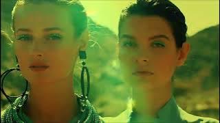 Download lagu Jungle - Every Night