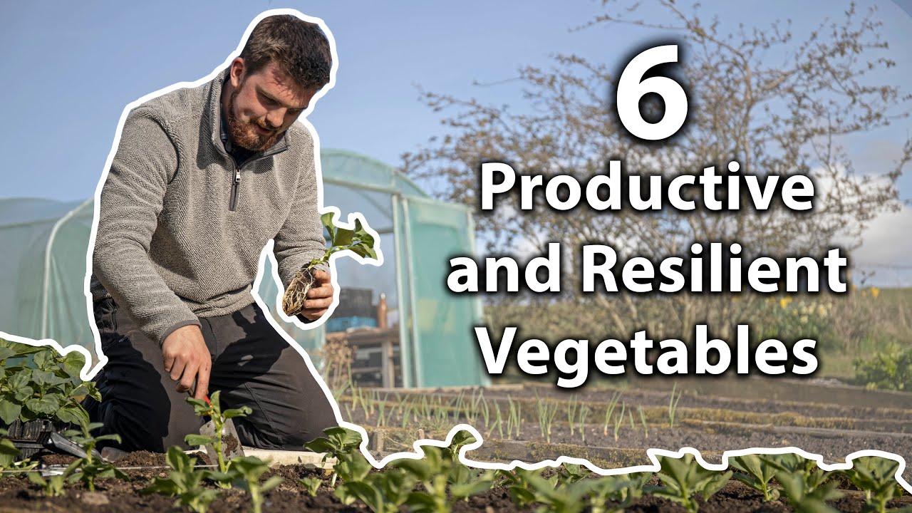 The 6 Ultimate Vegetables to Grow for Self-Sufficiency The 6 Ultimate Vegetables to Grow for Self-Sufficiency