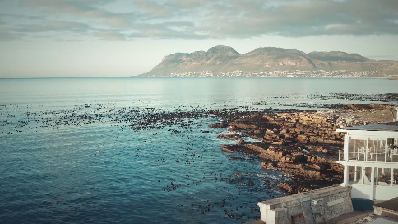 Musique Relaxante Calme Douce Piano Paul Fowler