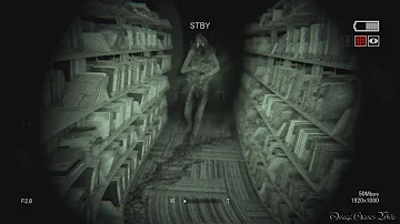アウトラスト2 ネタバレ ストーリー