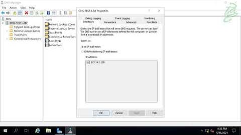 100 - Create a DNS Cache Server