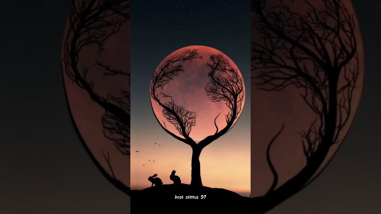 little do you know | whatsapp status | best status 57