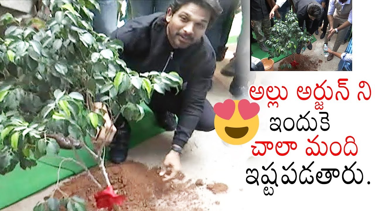 Stylish Star Allu Arjun Launches Navdeep's C Space | Allu Arjun Latest Video | Daily Culture