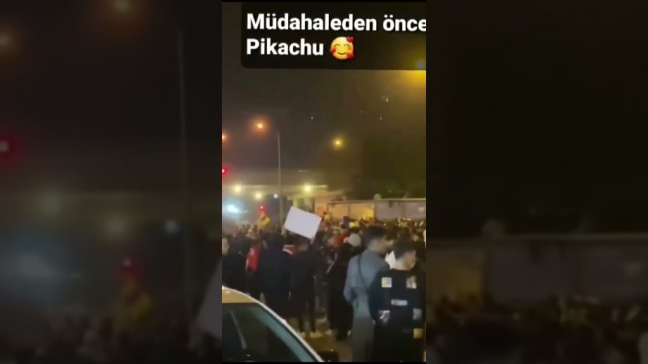 pikachu escape from police in Turkey