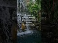 “Listen to the song of life. . . .