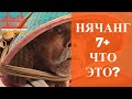 Что за Нячанг 7+ и кого это коснется? Новые подробности въезда во Вьетнам в 2021 году