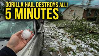 Gorilla Hail Destroys Everything: Insane Hailstorm in 5 Minutes!