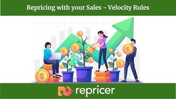 Repricing with Sales: Velocity Rules | Advanced Features