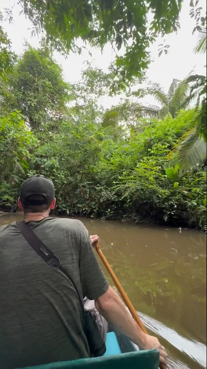Exploring the Amazon! 🛶 #wildlife #jungle #rainforest #amazon #explore
