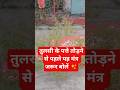तुलसी दल तोड़ने की प्रार्थना और सही विधि #spiritual #shorts