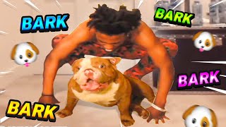 Ishowspeed Gets A New Dog And Barks At Him..