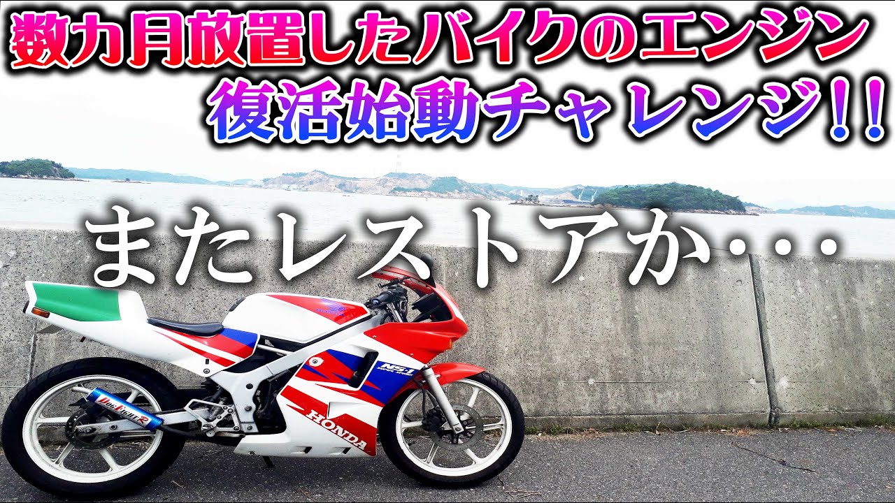数カ月放置したバイクのエンジン始動チャレンジ！不動車or始動？【モト