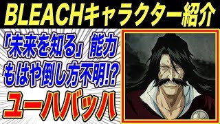 Bleach æœ€çµ‚å›žã¾ã¨ã‚ ãã®å¾Œã‚„æ‰