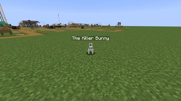 Minecraft 1.16.5: How To Summon The Killer Bunny