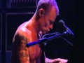 Red hot chili peppers  fleas piano solo  live in kln 2011