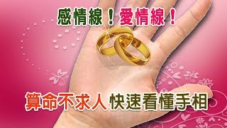 【算命不求人】快速看懂手相-(十八)感情線Part 4.感情線的分支、符號的含意|Heart Line