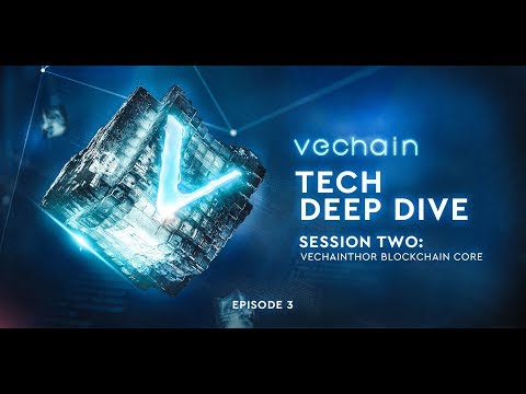 VeChain's Tech Deep Dive Series - Session 2, Episode 3: Governance, Tool-kit and Roadmap