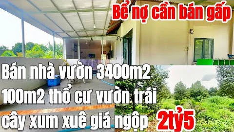 Nợ nần chồng chất! A Phi cần bán nhanh căn nhà vườn 3400m2, 100m2 thổ cư vườn trái cây, giá chỉ 2tỷ5