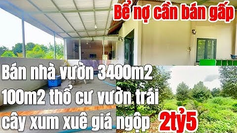 Nợ nần chồng chất! A Phi cần bán nhanh căn nhà vườn 3400m2, 100m2 thổ cư vườn trái cây, giá chỉ 2tỷ5