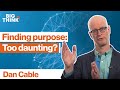 Finding your purpose: A less intimidating approach | Dan Cable | Big Think