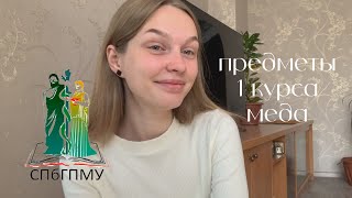 первый курс медицинского в спбгпму / все предметы