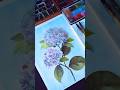 Hydrangea Coloring 🌸 Grayscale Watercolor for Adults